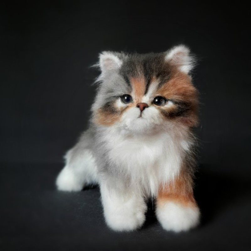 COMPANION PET CAT